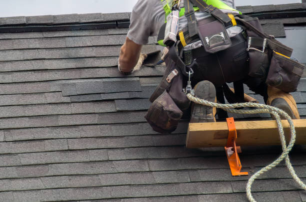 Best Storm Damage Roof Repair  in Norton, VA